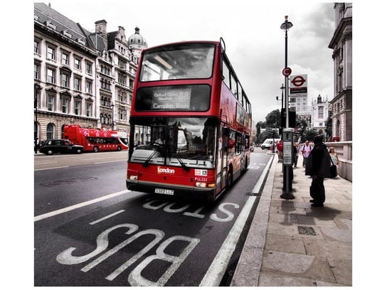 Fototapeta, Współczesny londyński czerwony autobus piętrowy, 6 elementów, 268x240 cm Oobrazy