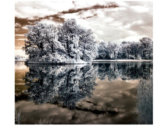 Fototapeta, Wysepka na jeziorze, 6 elementów, 268x240 cm Oobrazy