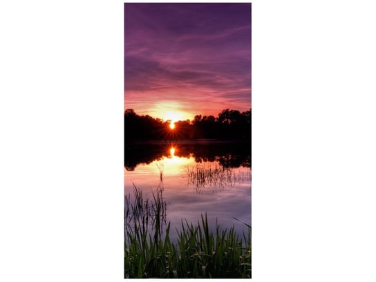 Fototapeta, Zachód słońca wśród trzcin, 1 elementów, 95x205 cm Oobrazy