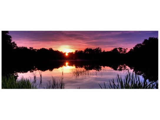 Fototapeta, Zachód słońca wśród trzcin, 2 elementów, 268x100 cm Oobrazy