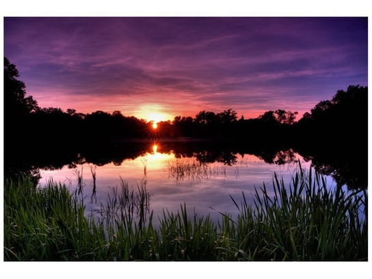 Fototapeta, Zachód słońca wśród trzcin, 8 elementów, 368x248 cm Oobrazy