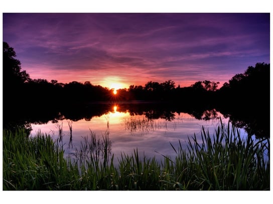 Fototapeta, Zachód słońca wśród trzcin, 8 elementów, 400x268 cm Oobrazy