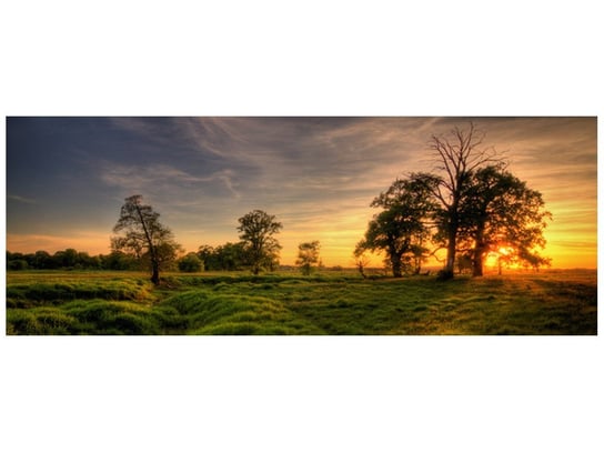 Fototapeta, Zachodzące słońce wśród drzew, 2 elementów, 268x100 cm Oobrazy