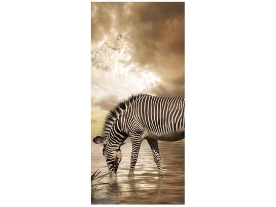 Fototapeta, Zebra przy wodopoju, 1 elementów, 95x205 cm Oobrazy