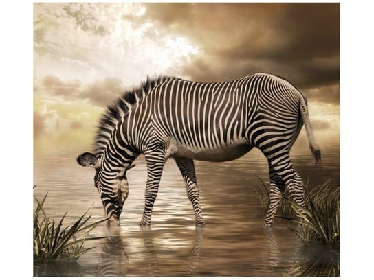Fototapeta, Zebra przy wodopoju, 6 elementów, 268x240 cm Oobrazy