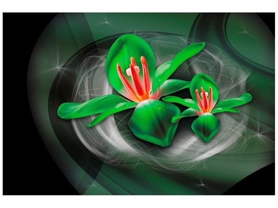 Fototapeta, Zielone kosmiczne kwiaty - Jakub Banaś, 1 elementów, 200x135 cm Oobrazy