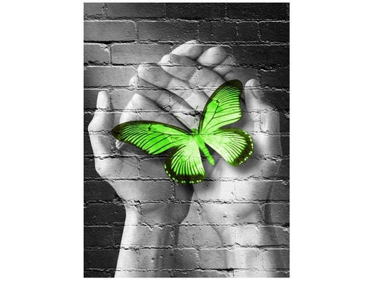 Fototapeta, Zielony motyl w dłoniach, 2 elementów, 150x200 cm Oobrazy