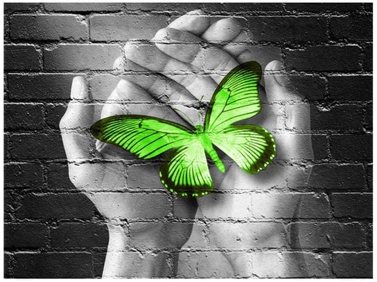 Fototapeta, Zielony motyl w dłoniach, 2 elementów, 200x150 cm Oobrazy