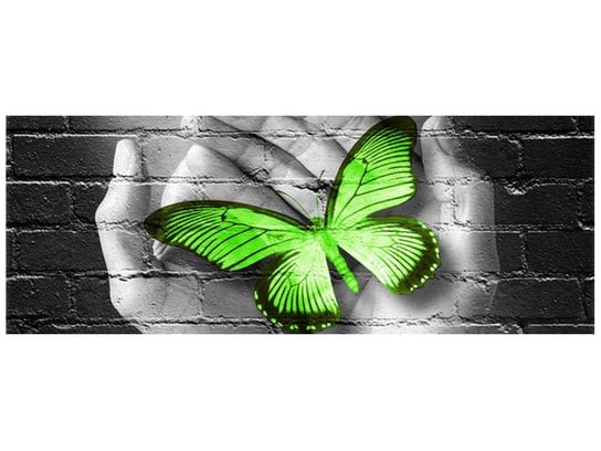 Fototapeta, Zielony motyl w dłoniach, 2 elementów, 268x100 cm Oobrazy