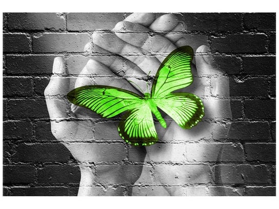 Fototapeta, Zielony motyl w dłoniach, 8 elementów, 368x248 cm Oobrazy
