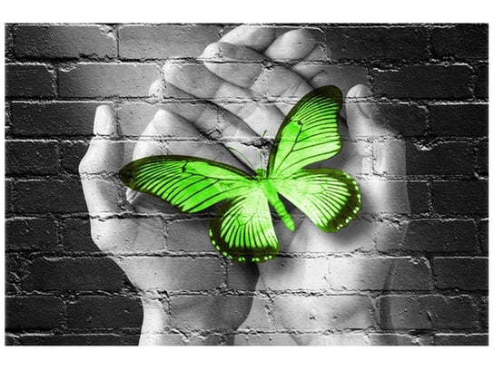 Fototapeta, Zielony motyl w dłoniach, 8 elementów, 400x268 cm Oobrazy