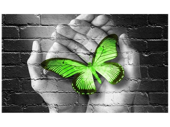 Fototapeta, Zielony motyl w dłoniach, 9 elementów, 402x240 cm Oobrazy