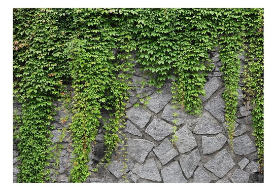 Fototapeta, Zielony mur, 350x245 cm DecoNest