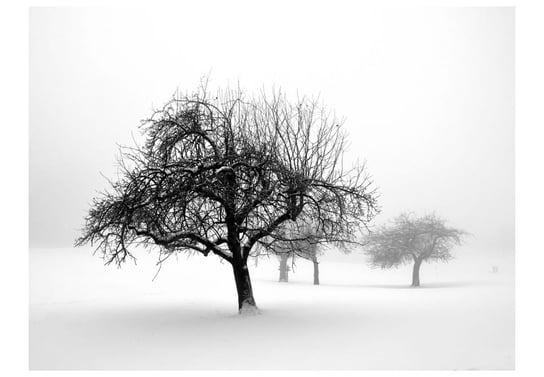 Fototapeta, Zima: drzewa, 200X154 DecoNest
