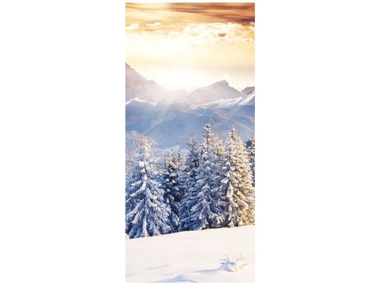 Fototapeta, Zima w górach, 1 elementów, 95x205 cm Oobrazy