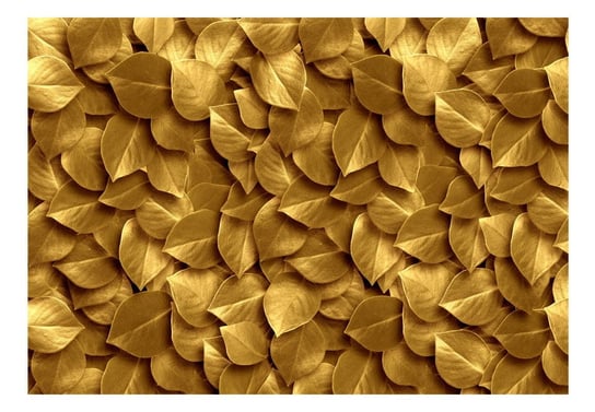Fototapeta, Złote liście, 350x245 cm DecoNest