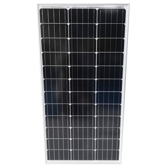 Fotowoltaiczny Panel Słoneczny, 100 W, Monokrystaliczny Yangtze Solar