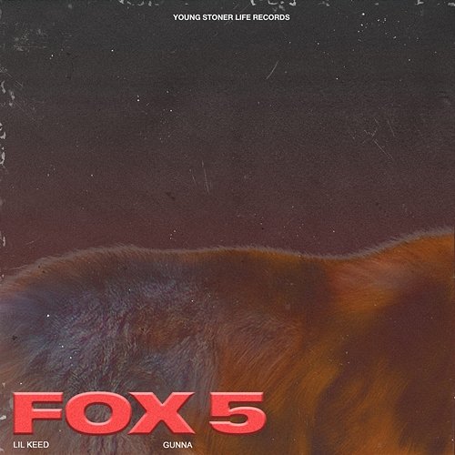 Fox 5 Lil Keed