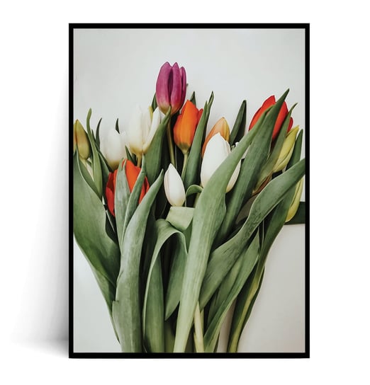 Fox Art Studio, Plakat Bukiet Tulipanów, wymiary 21x29,7 cm FOX ART STUDIO
