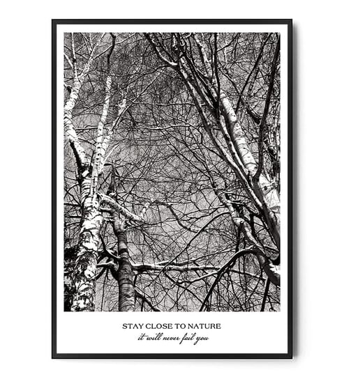 Fox Art Studio, Plakat, Drzewa,  wymiary 21x29,7 cm FOX ART STUDIO