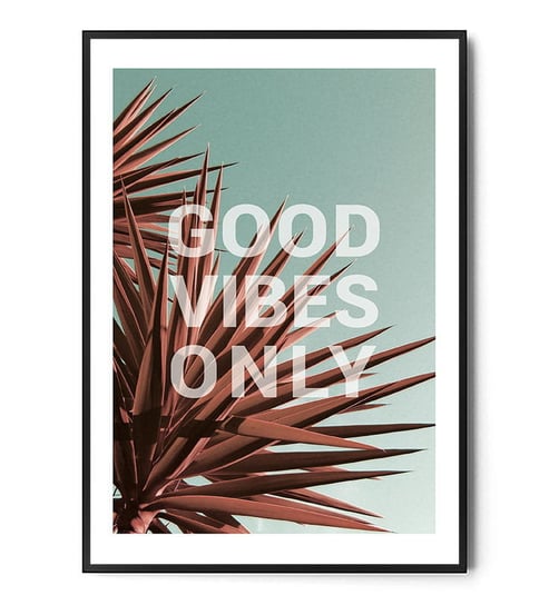 Fox Art Studio, Plakat, Good Vibes Only, wymiary 21x29,7 cm FOX ART STUDIO