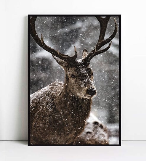Fox Art Studio, Plakat, Jelonek W Śniegu, wymiary 50x70 cm FOX ART STUDIO