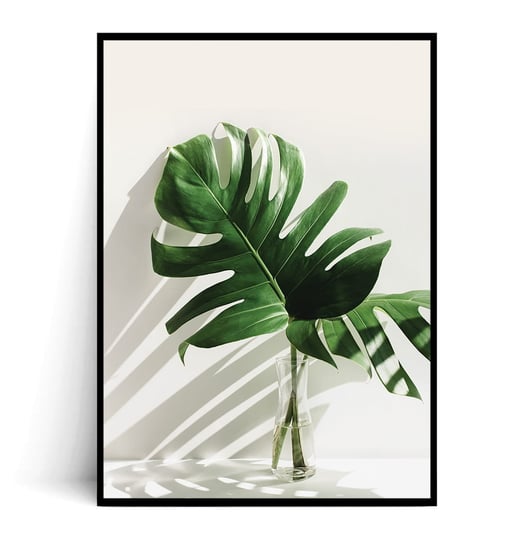 Fox Art Studio, Plakat, Monstera w Wazonie, wymiary 50x70 cm FOX ART STUDIO