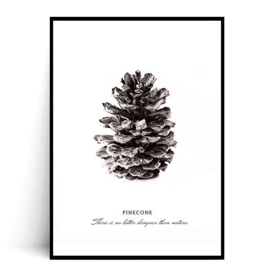 Fox Art Studio, Plakat Pinecone, wymiary 21x29,7 cm FOX ART STUDIO