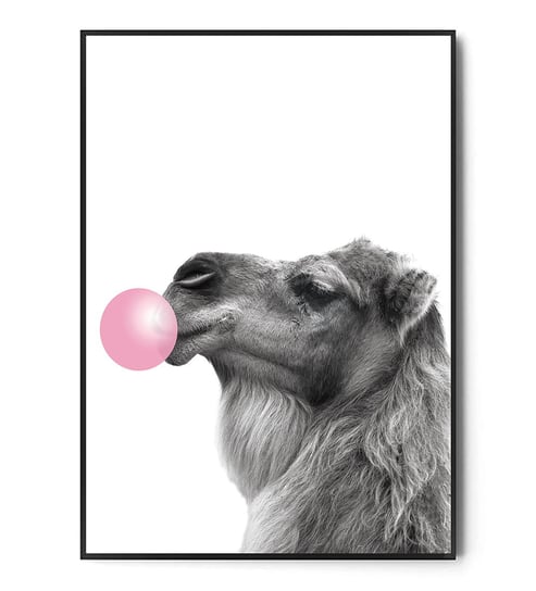 Fox Art Studio, Plakat Wielbłąd Bubble Gum, wymiary 21x29,7 cm FOX ART STUDIO