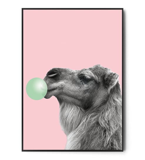 Fox Art Studio, Plakat Wielbłąd, Bubble gum, wymiary 21x29,7 cm FOX ART STUDIO