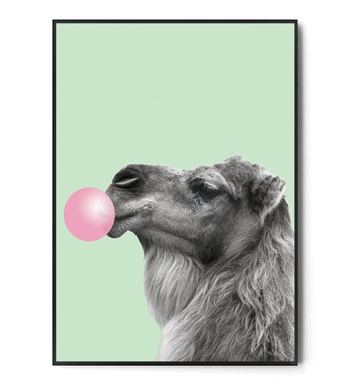 Fox Art Studio, Plakat Wielbłąd, Bubble gum,  wymiary 40x50 cm FOX ART STUDIO