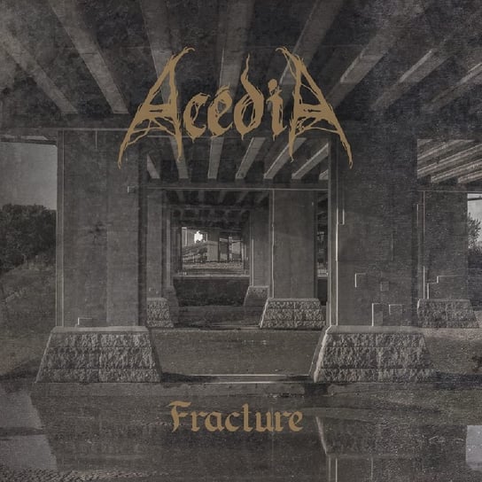 Fracture Acedia