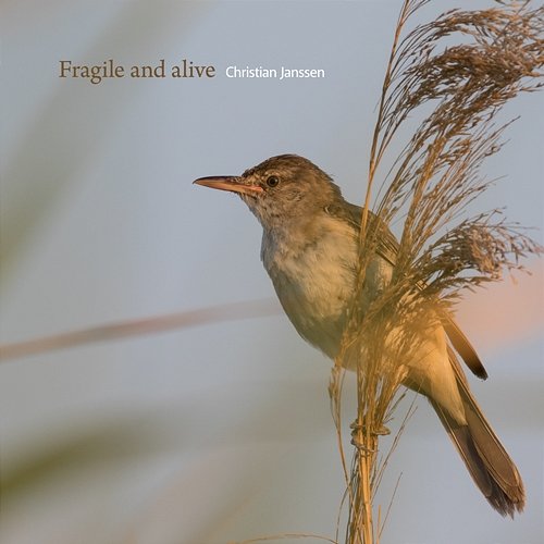 Fragile and alive Christian Janssen