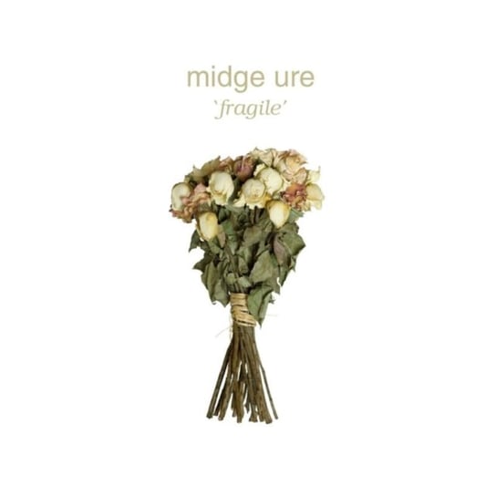 Fragile, płyta winylowa Midge Ure