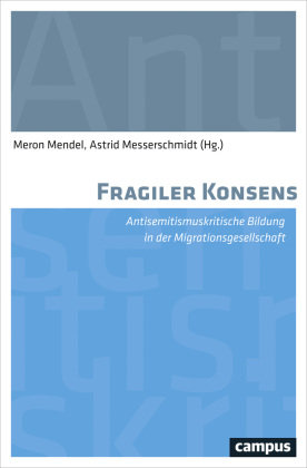 Fragiler Konsens Campus Verlag Gmbh, Campus