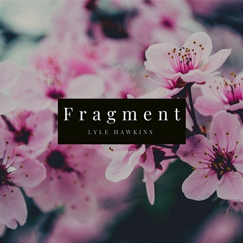 Fragment Lyle Hawkins