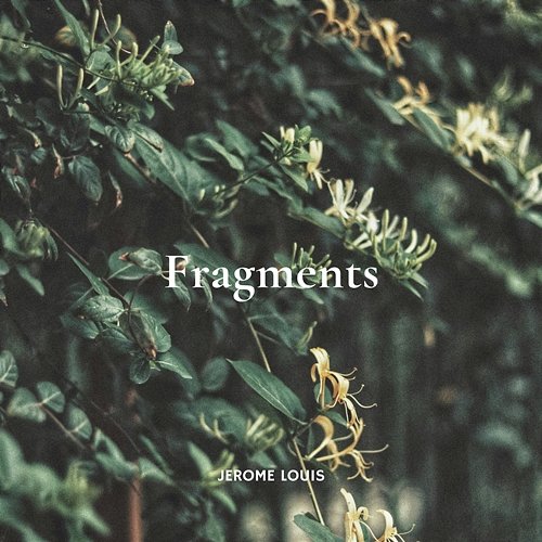 Fragments Jerome Louis