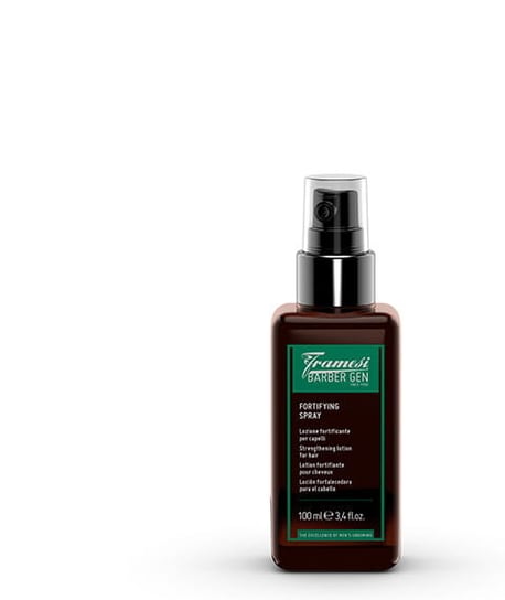 Framesi BARBER GEN FORTIFYING SPRAY - 100 ml Framesi