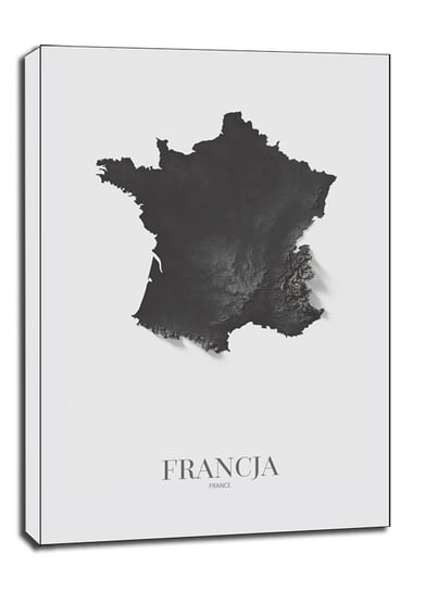 Francja mapa czarno biała - obraz na płótnie 70x10 / AAALOE Inna marka