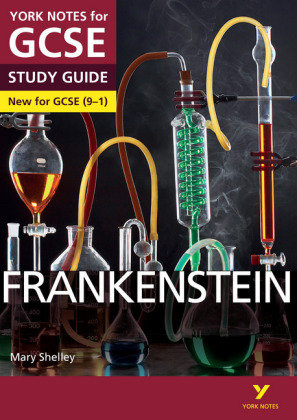 Frankenstein STUDY GUIDE: York Notes for GCSE (9-1): - everything you need to catch up, study and prepare for 2022 and 2023 assessments and exams Alexander Fairbairn-Dixon