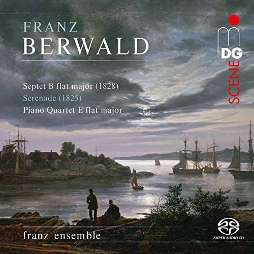 Franz Berwald: Chamber Music Various Artists