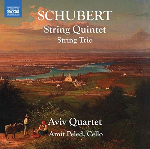 Franz Schubert String Quintet / String Trio Various Artists