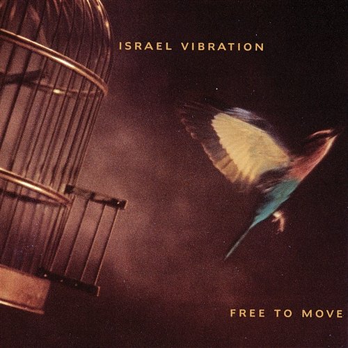 Free to Move Israel Vibration