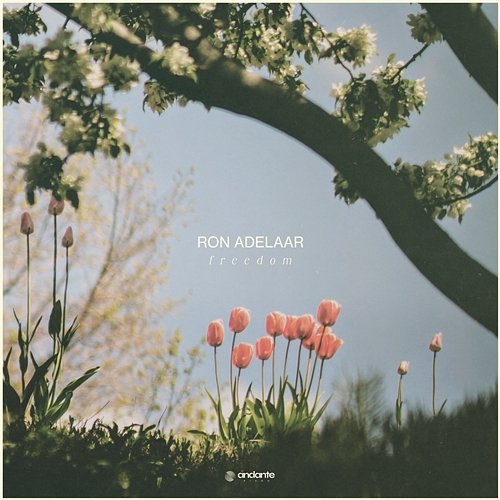Freedom Ron Adelaar