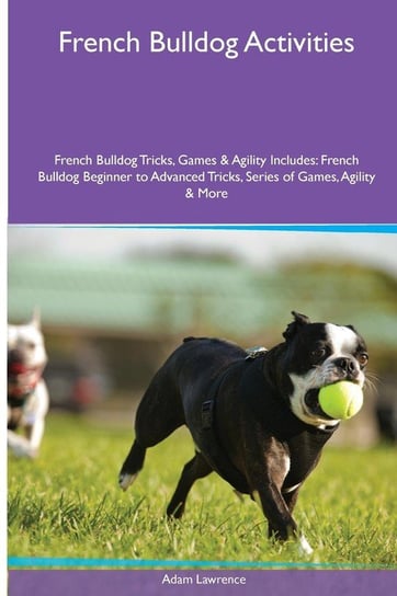 French Bulldog  Activities French Bulldog Tricks, Games & Agility. Includes Lawrence Adam