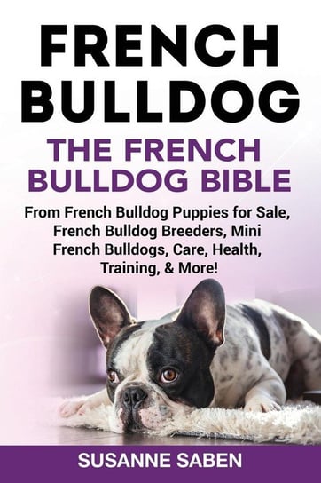 French Bulldog Saben Susanne