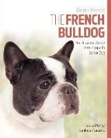 French Bulldog Best of Breed Rankine-Parsons Penny
