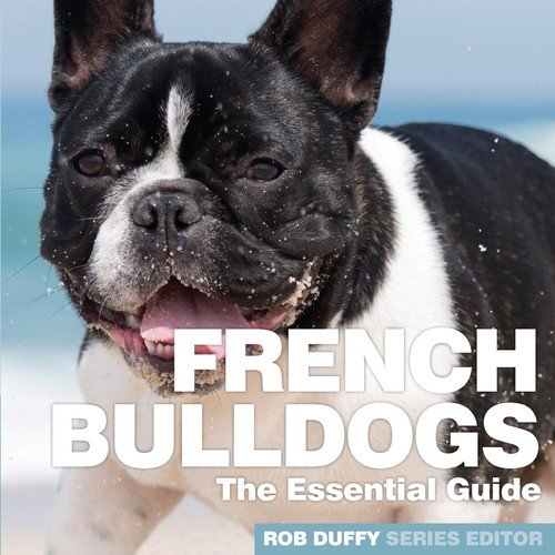 French Bulldogs Null