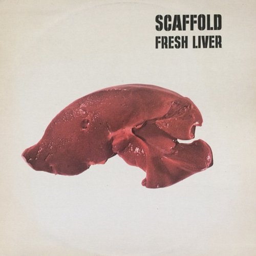 Fresh Liver The Scaffold