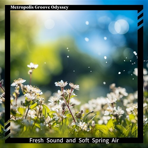 Fresh Sound and Soft Spring Air Metropolis Groove Odyssey